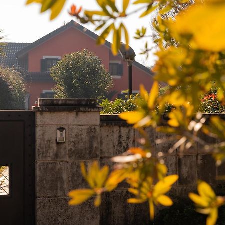 Villa Annamaria カッシーノ エクステリア 写真