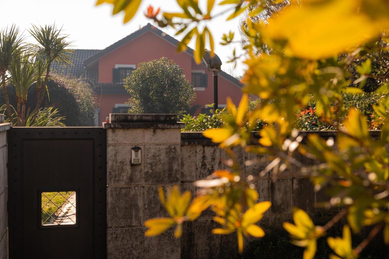 Villa Annamaria カッシーノ エクステリア 写真