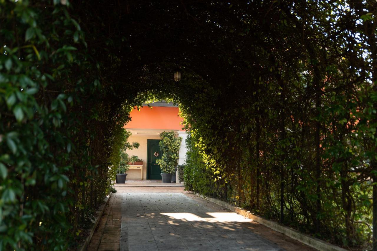 Villa Annamaria カッシーノ エクステリア 写真