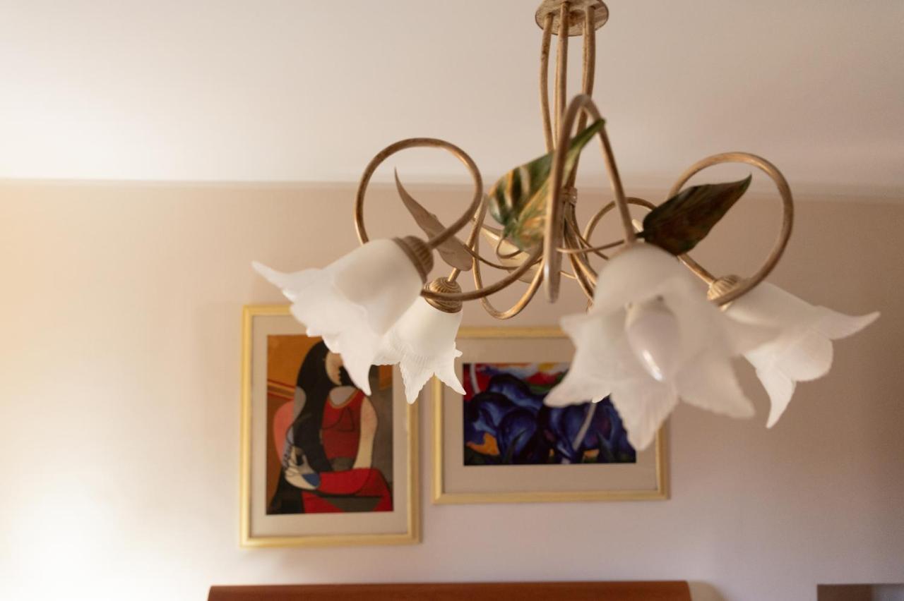 Villa Annamaria カッシーノ エクステリア 写真