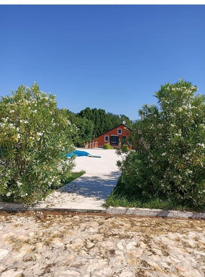 Villa Annamaria カッシーノ エクステリア 写真