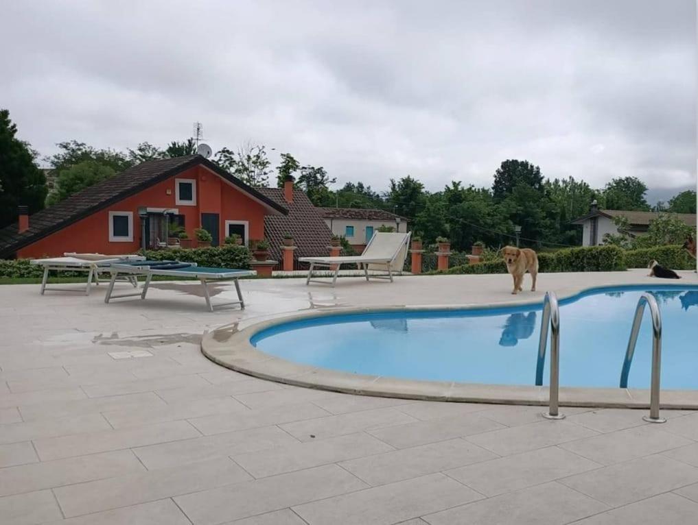 Villa Annamaria カッシーノ エクステリア 写真