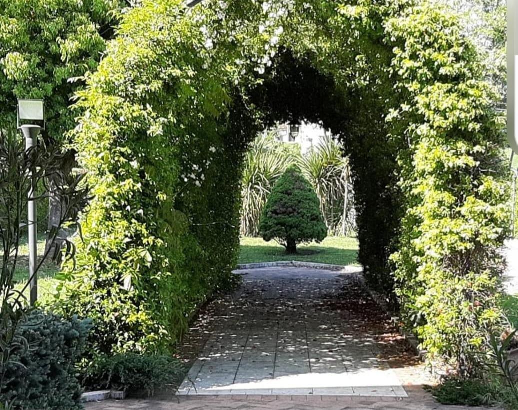 Villa Annamaria カッシーノ エクステリア 写真